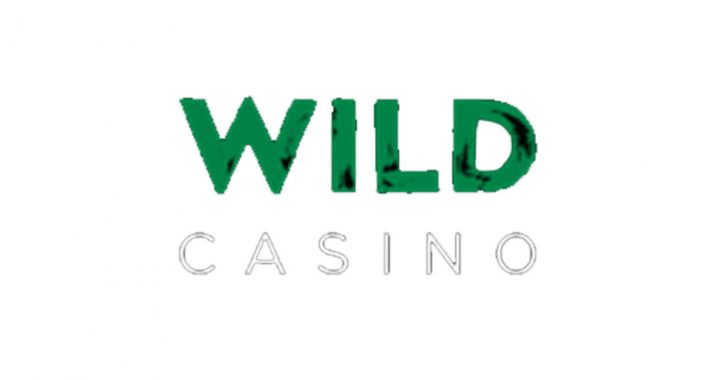 Обзор казино Wild